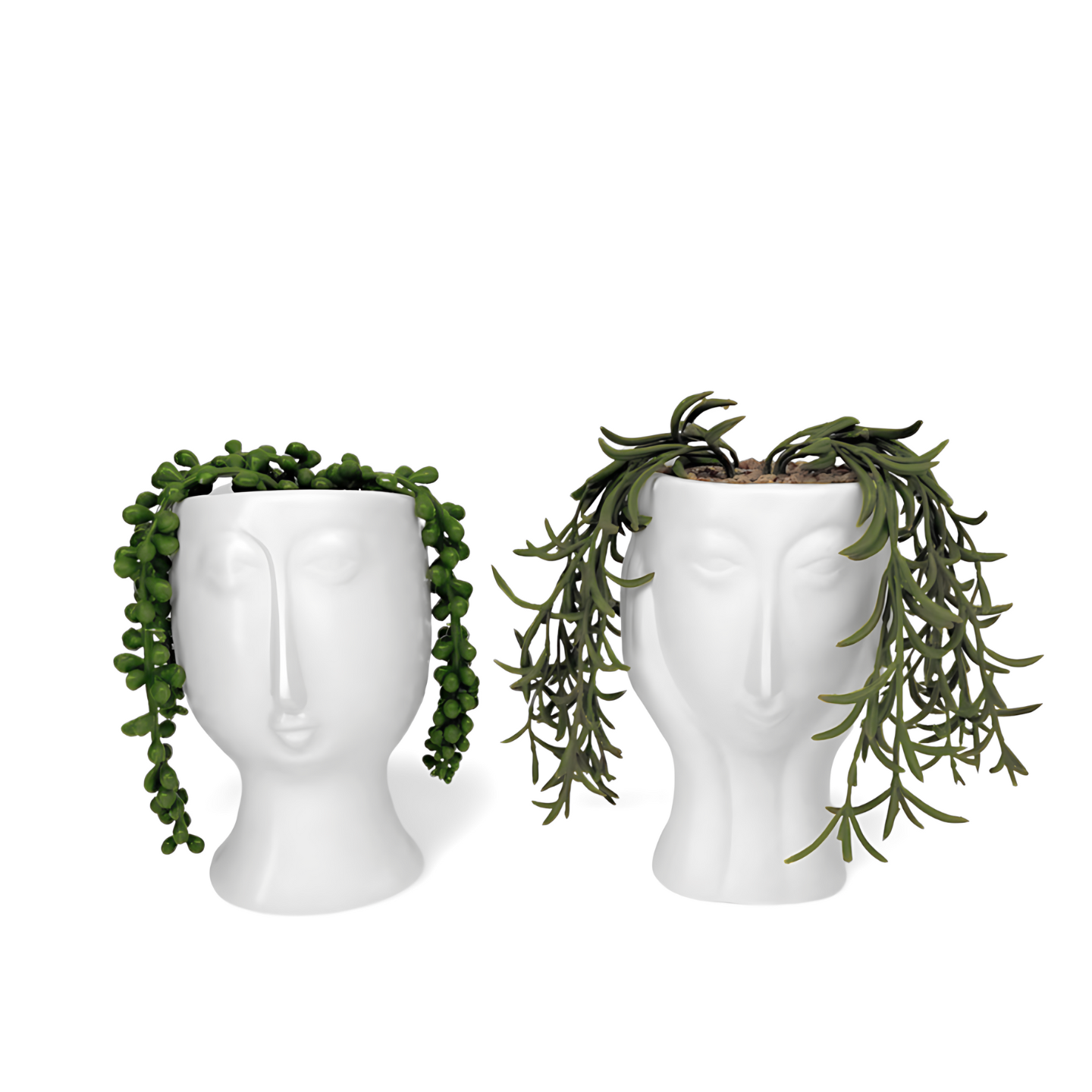 Decoratieve Kunst Vetplanten - Set 2