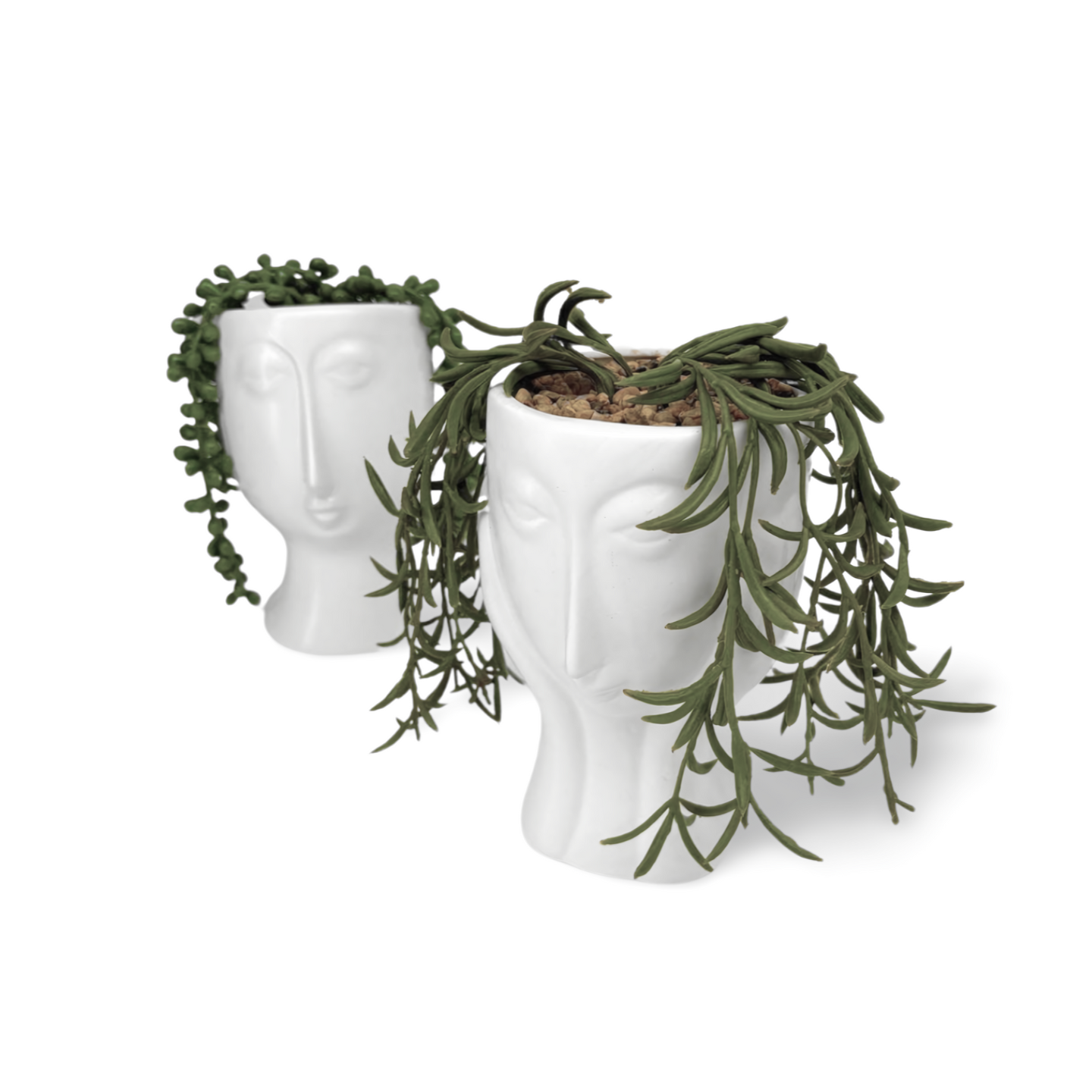 Decoratieve Kunst Vetplanten Detail