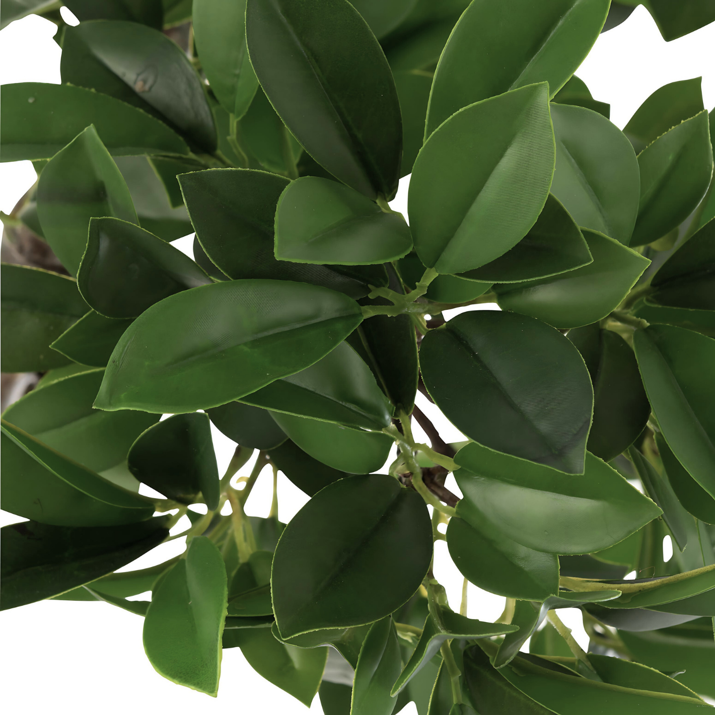 Ficus Boom Kunstplant In Pot Detail