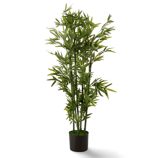 Grote Kunst Bamboe Plant