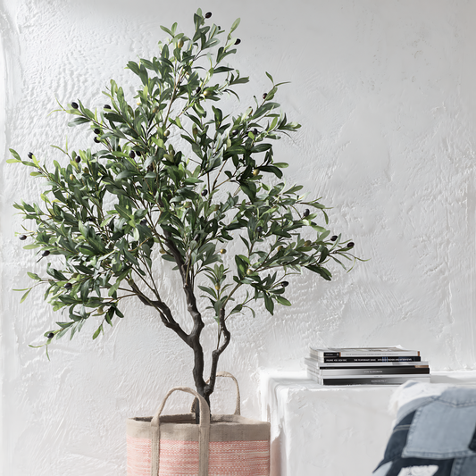 Grote Kunst Olijfboom Sfeerfoto