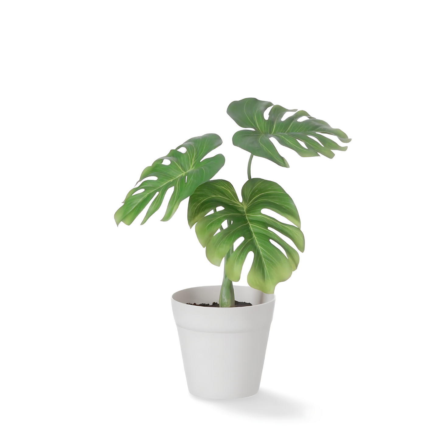 Kleine Kunstplant Gatenplant 26 cm