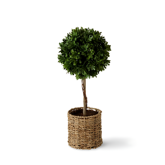 Kunst Buxus Op Stam 43 cm