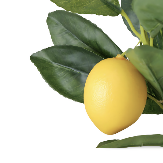 Kunst Citroenboom In Pot Detail