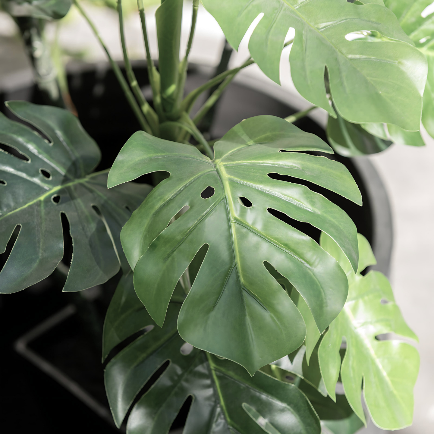 Kunst Philodendron In Pot Detail