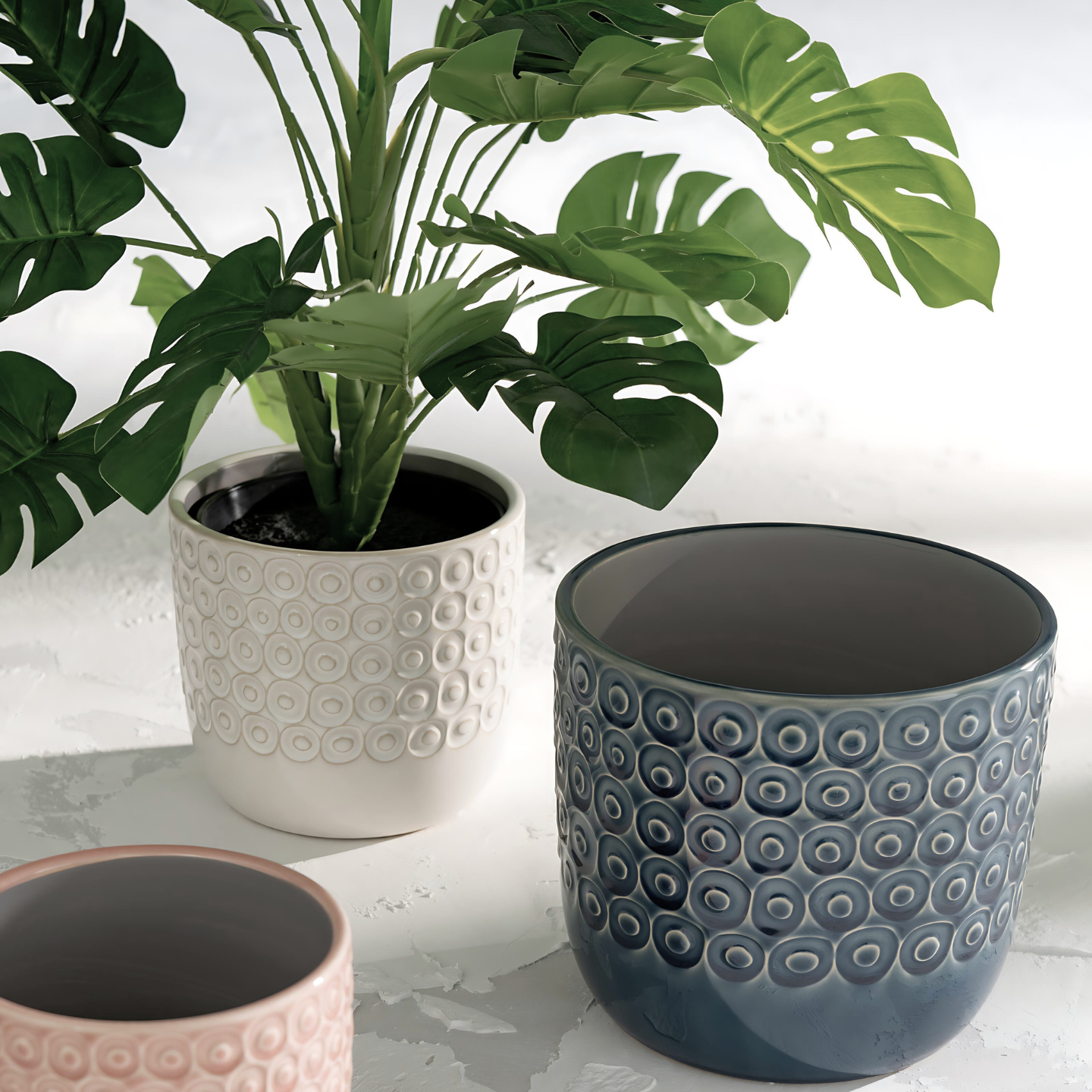 Kunst Philodendron In Pot Sfeerfoto