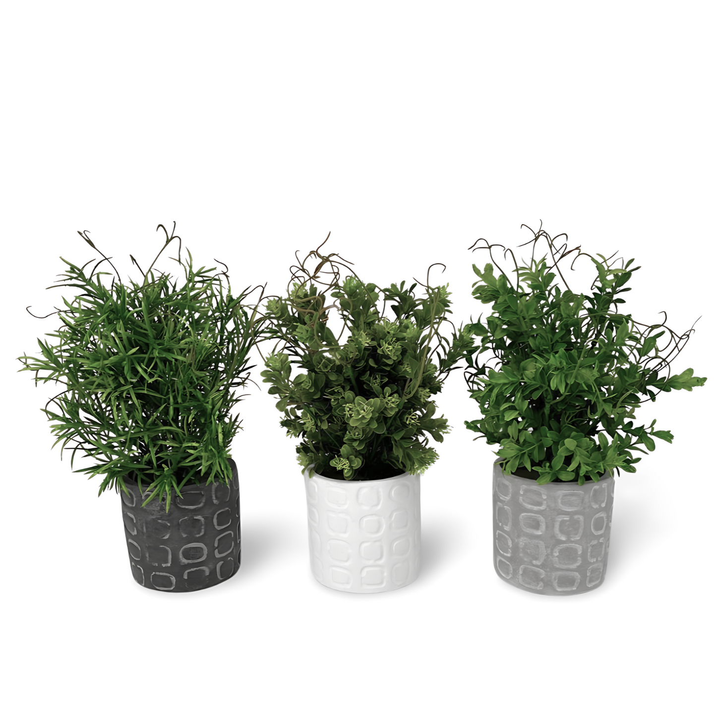 Kunst Vetplanten In Pot Beton 29 cm - Set 3