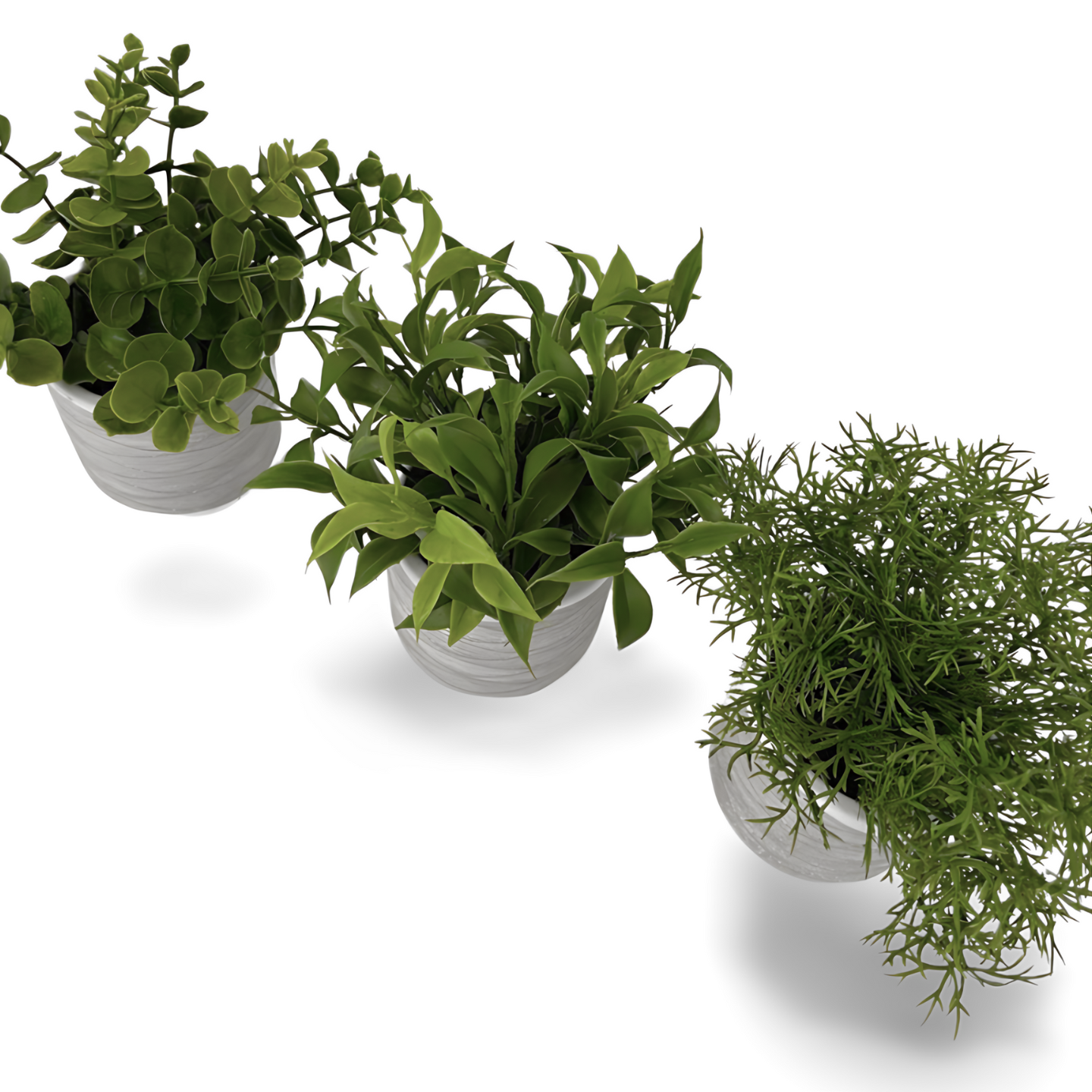 Kunst Vetplanten In Pot Bovenkant