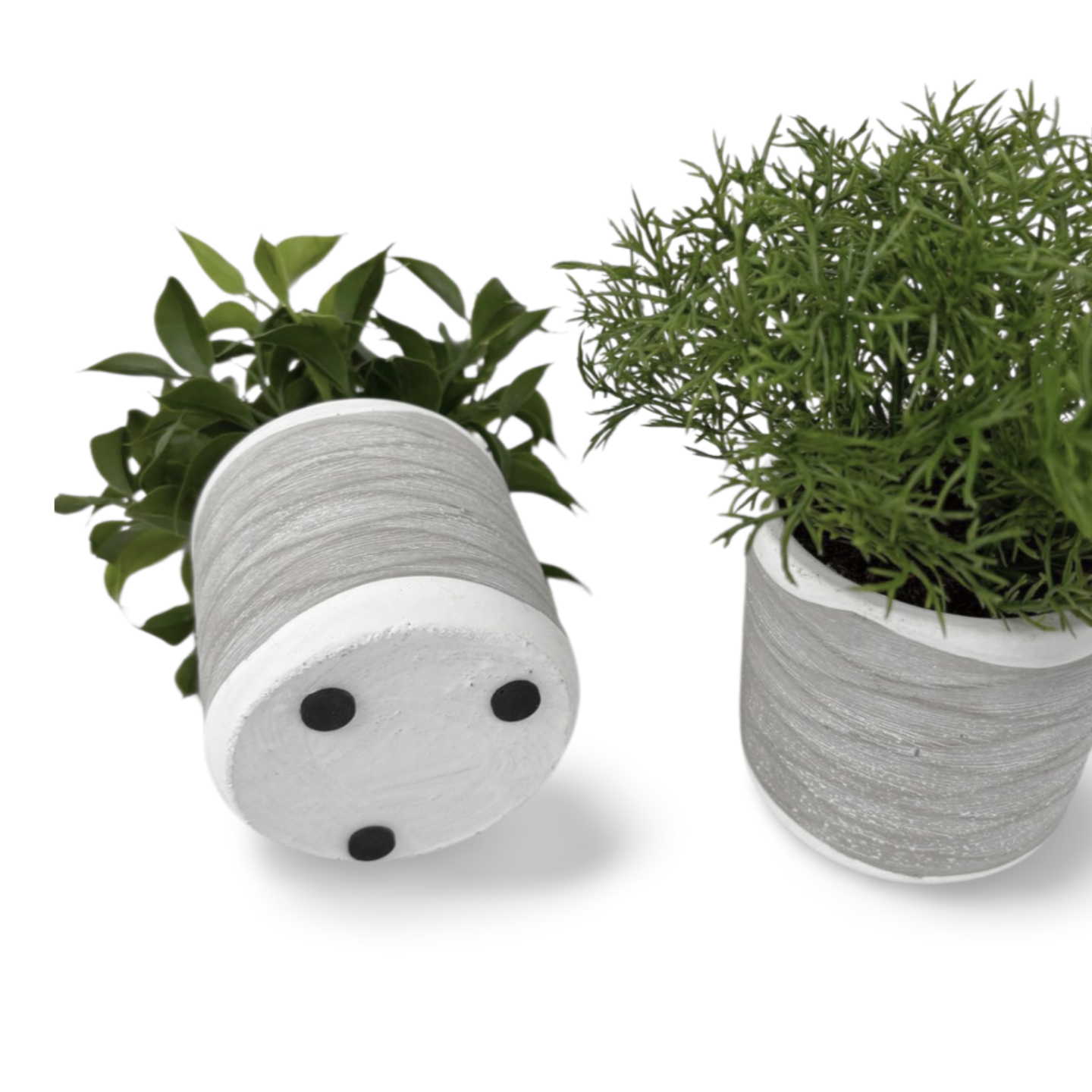 Kunst Vetplanten In Pot Onderkant