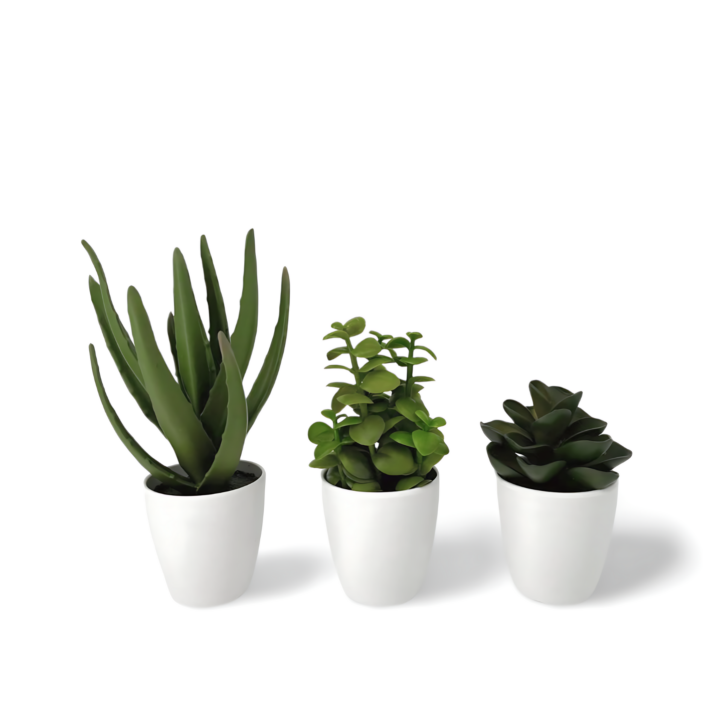 Kunst Vetplantjes In Pot Wit 23 cm - Set van 3