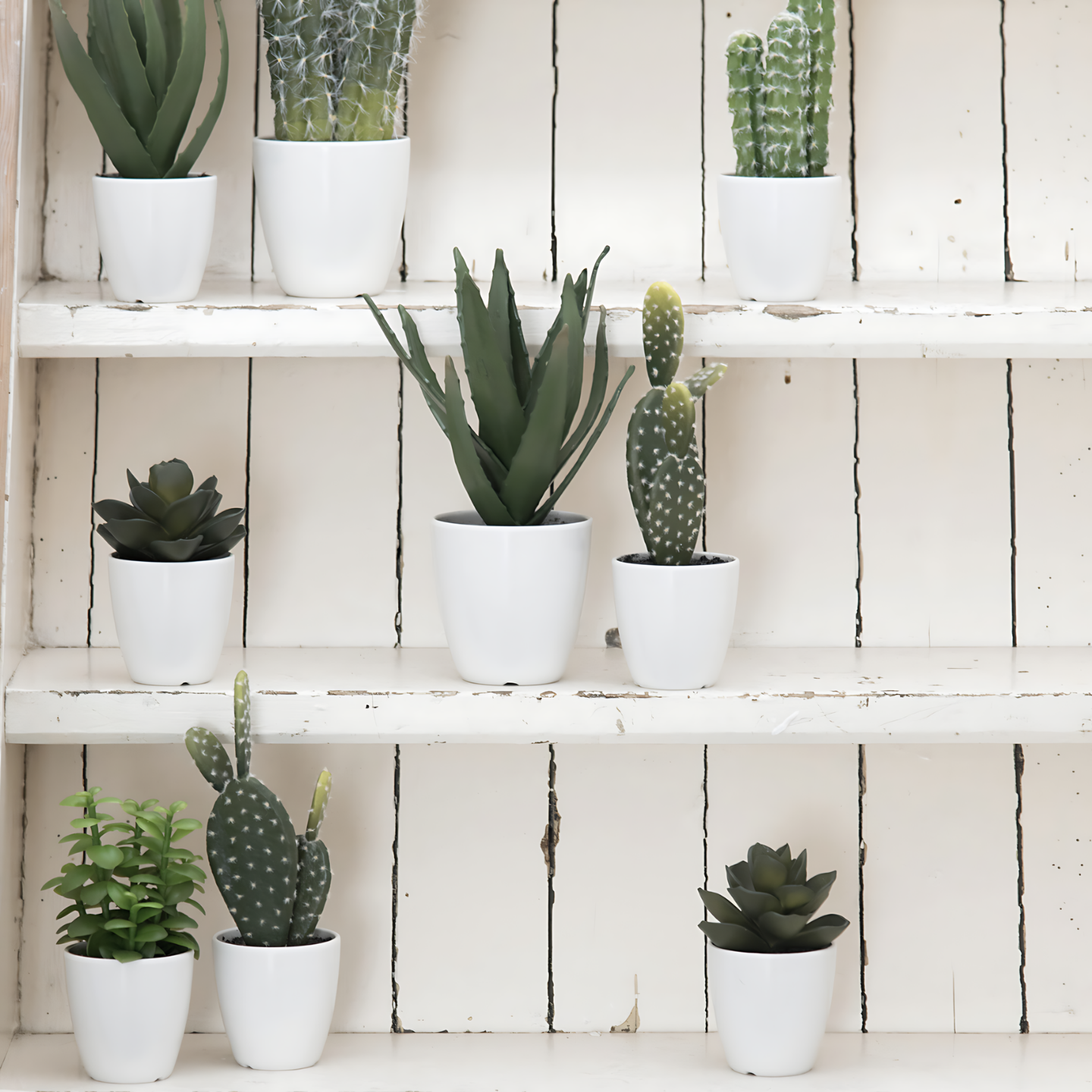 Kunst Vetplantjes In Pot Wit 23 cm - Sfeerfoto