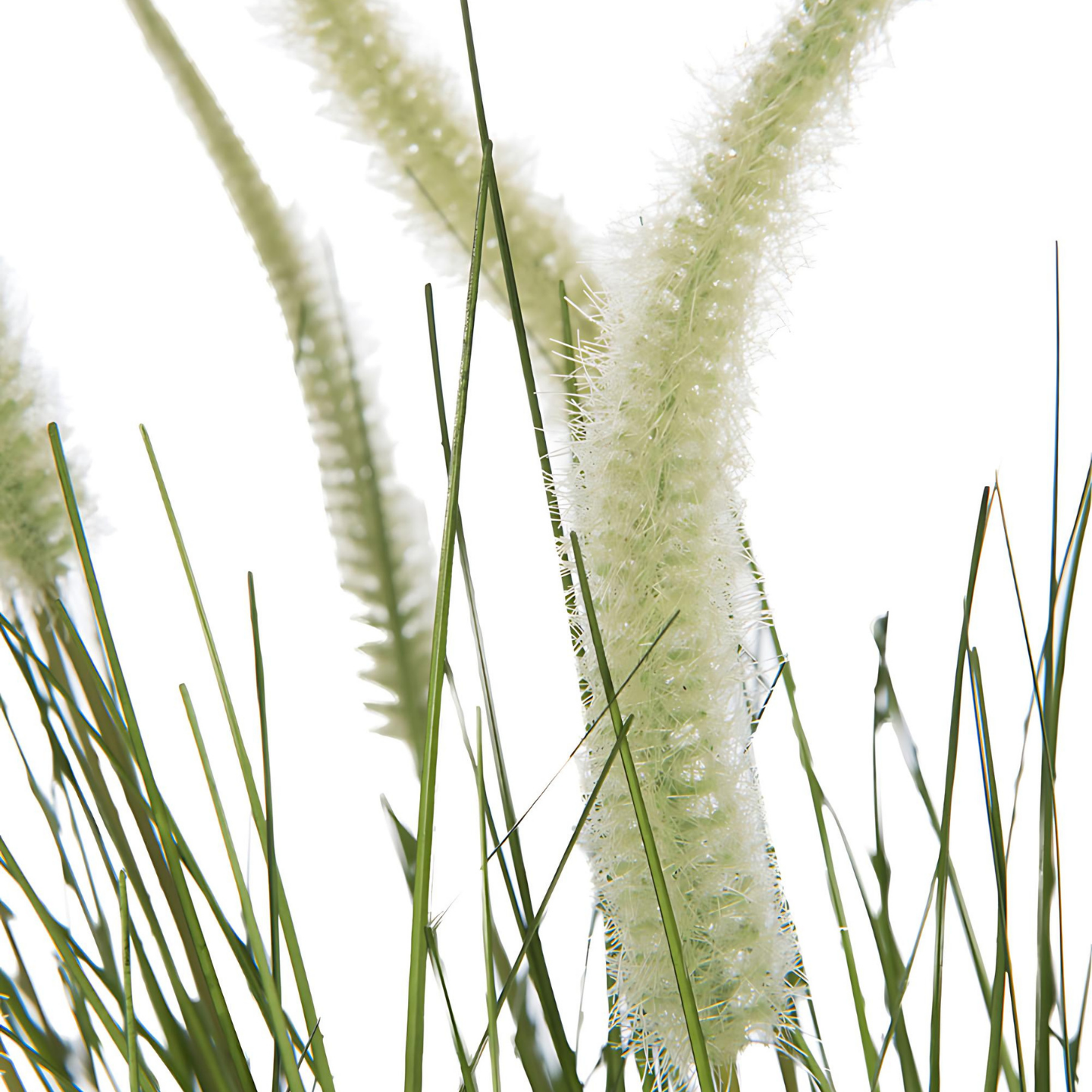 Kunstplant Siergras In Pot Pluimen