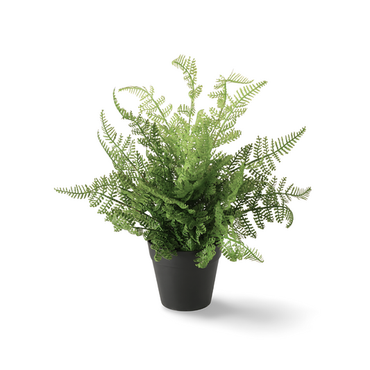 Kunstplant Varen Voor Binnen