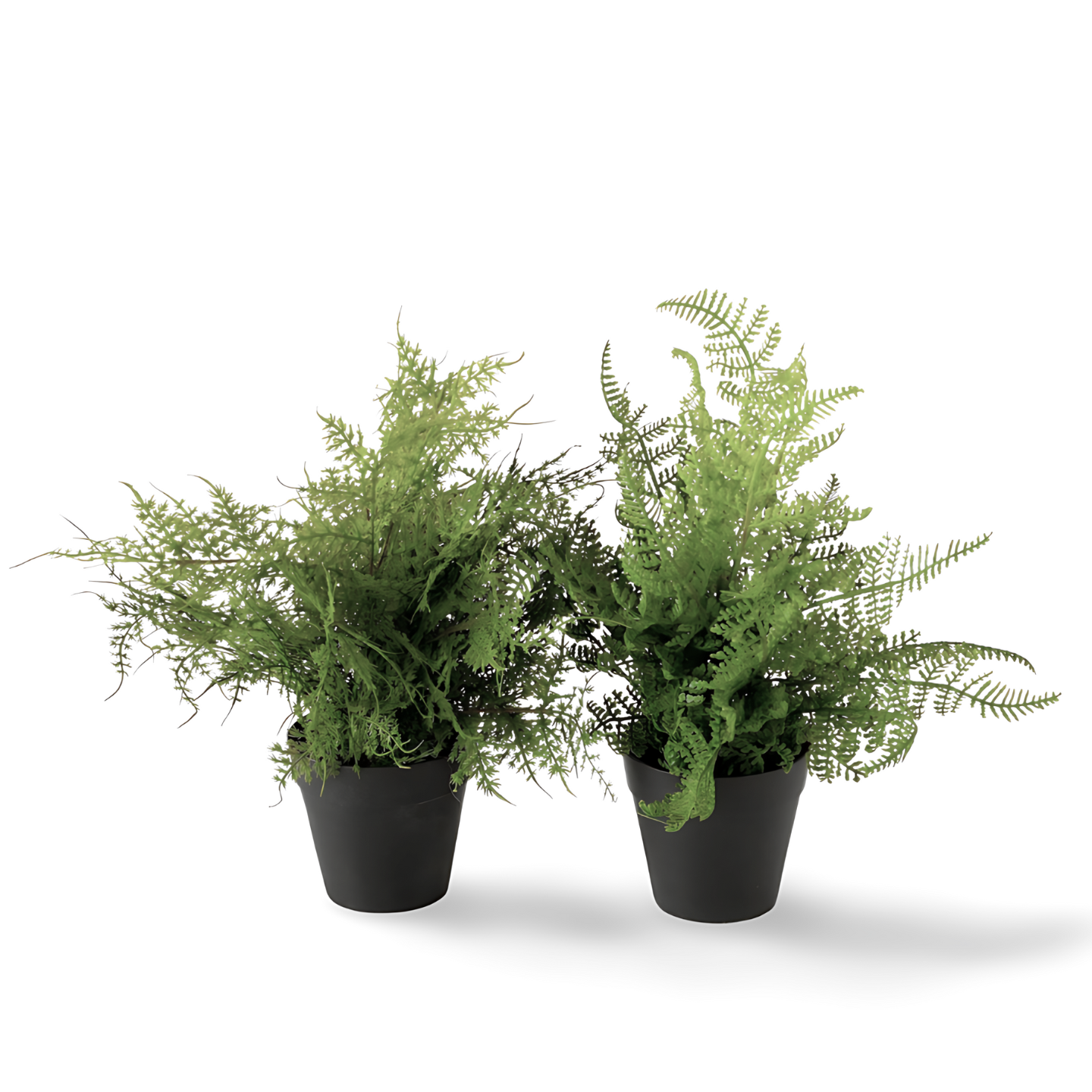 Kunstplant Varen Voor Binnen - Set 2