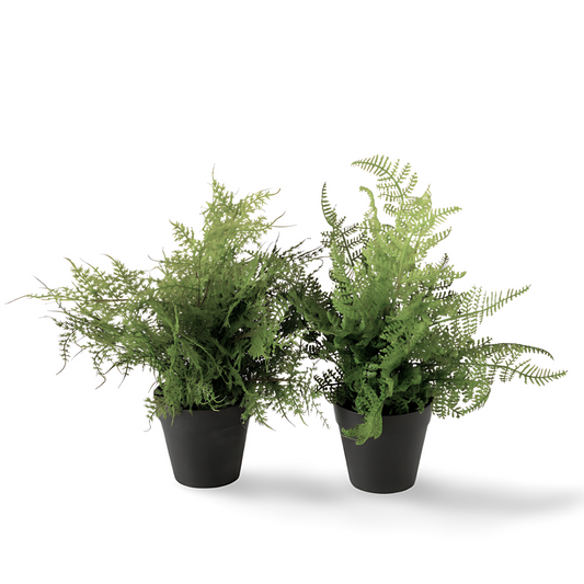 Kunstplant Varen Voor Binnen - Set 2