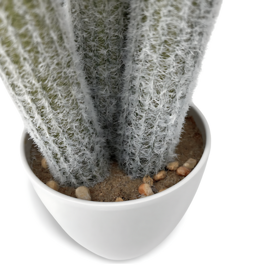 Nep Cactus Groot Sfeerfoto Detail