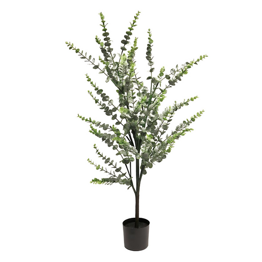Eucalyptus Nepplant 104 cm