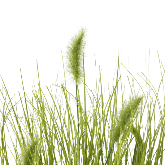 Kunst Siergras Met Pluimen Detail