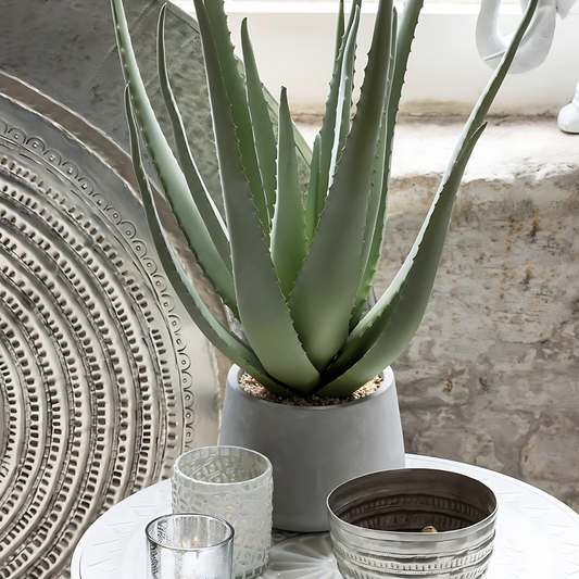 Luxe Kunstplant Aloe Vera Sfeerfoto