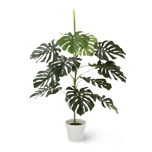 Monstera Nepplant Groot 110 cm
