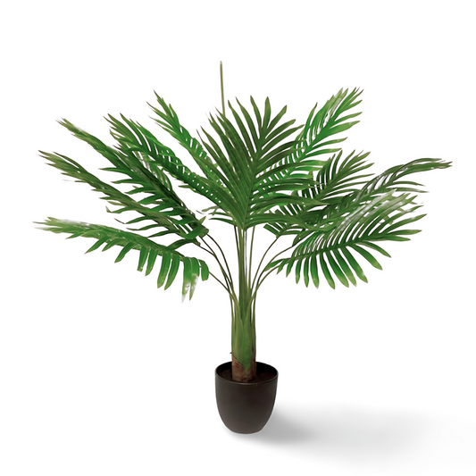Nep Palm Plant 70 cm